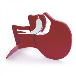 Modèle de tête en coupe LAERDAL