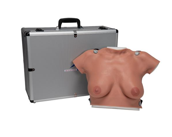 Modèle de palpation mammaire (avec valise de transport et planche murale incluses)