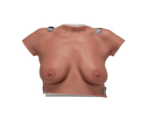 Modèle de palpation mammaire (avec valise de transport et planche murale incluses) – Image 2